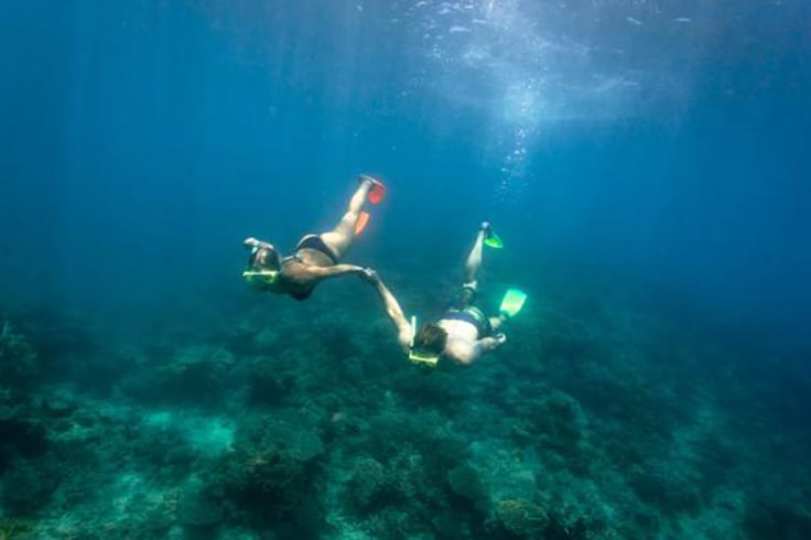 2 people snorkeling along the coral in Queensland